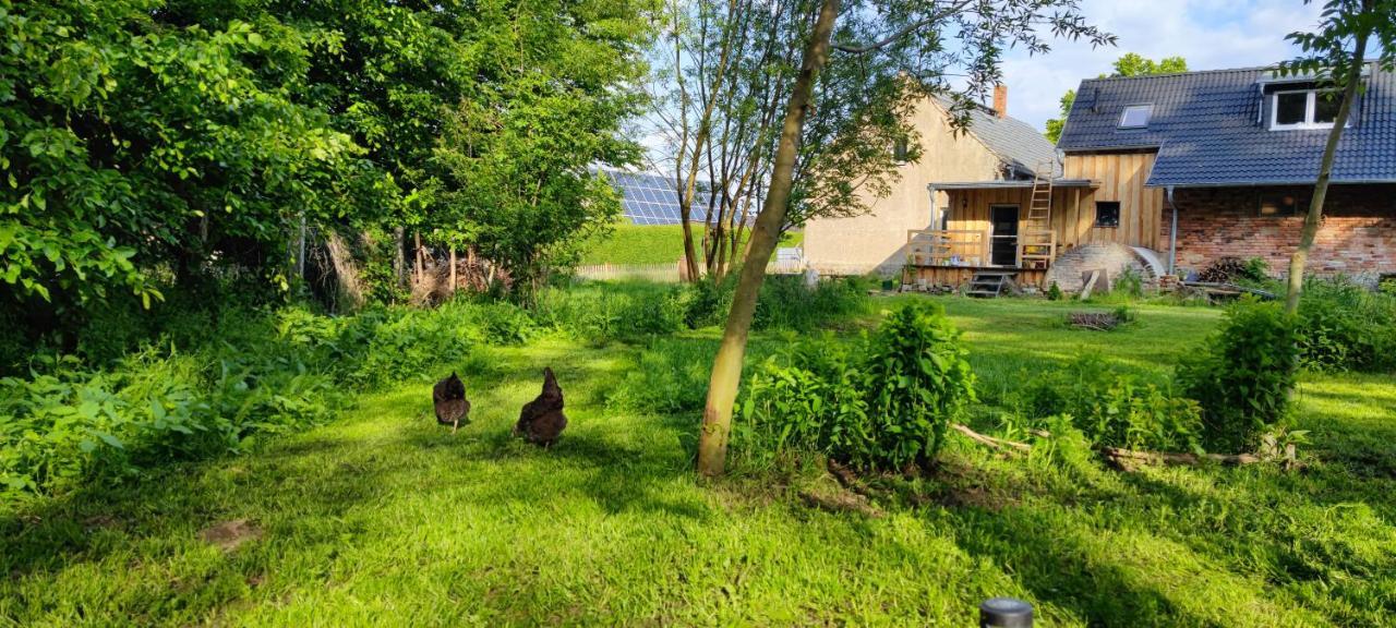 Ferienwohnung & Campingplatz Vor Dem Berg Heideblick Exterior photo